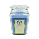 18oz Scented Candles- Ideal Holiday Gift, Stocking Stuffers, Gifts for Women, Best for Christmas, Perfect for Thanksgiving