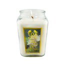 18oz Large Candle Jar Scented Candle with up to 110 Hour Burn Time, Premium Plant Wax Blend for Consistent Burn,Idea Birthdays Anniversary Gifts.