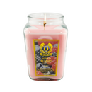 18oz Large Candle Jar Scented Candle with up to 110 Hour Burn Time, Premium Plant Wax Blend for Consistent Burn,Idea Birthdays Anniversary Gifts.