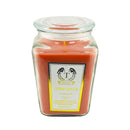 18oz Scented Candles- Ideal Holiday Gift, Stocking Stuffers, Gifts for Women, Best for Christmas, Perfect for Thanksgiving