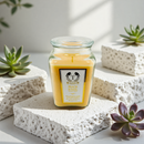 18oz Scented Candles- Ideal Holiday Gift, Stocking Stuffers, Gifts for Women, Best for Christmas, Perfect for Thanksgiving