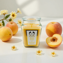 18oz Scented Candles- Ideal Holiday Gift, Stocking Stuffers, Gifts for Women, Best for Christmas, Perfect for Thanksgiving