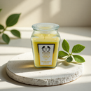 18oz Scented Candles- Ideal Holiday Gift, Stocking Stuffers, Gifts for Women, Best for Christmas, Perfect for Thanksgiving