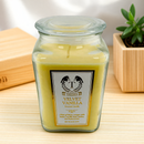 18oz Scented Candles- Ideal Holiday Gift, Stocking Stuffers, Gifts for Women, Best for Christmas, Perfect for Thanksgiving