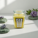 18oz Scented Candles- Ideal Holiday Gift, Stocking Stuffers, Gifts for Women, Best for Christmas, Perfect for Thanksgiving