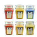 18oz Scented Candles- Ideal Holiday Gift, Stocking Stuffers, Gifts for Women, Best for Christmas, Perfect for Thanksgiving
