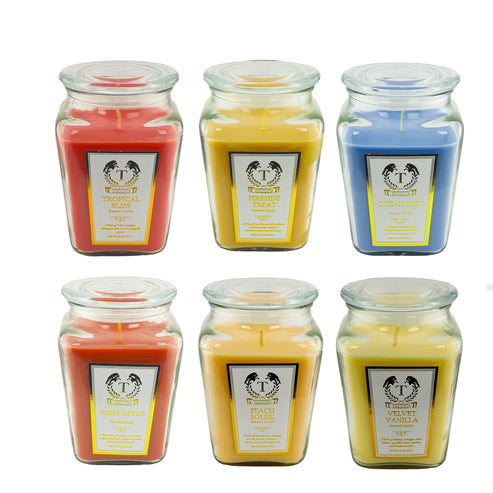 18oz Scented Candles- Ideal Holiday Gift, Stocking Stuffers, Gifts for Women, Best for Christmas, Perfect for Thanksgiving