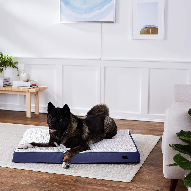 Amazon Basics Foam Pet Bed for Cats or Dogs (3 Sizes)
