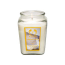 18oz Festive Christmas Candle - 6 Unique Scents for Romantic Ambiance - No Electricity or Battery Needed, Perfect for Holiday Decor, Mother's Gift Idea