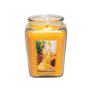 18oz Festive Christmas Candle - 6 Unique Scents for Romantic Ambiance - No Electricity or Battery Needed, Perfect for Holiday Decor, Mother's Gift Idea