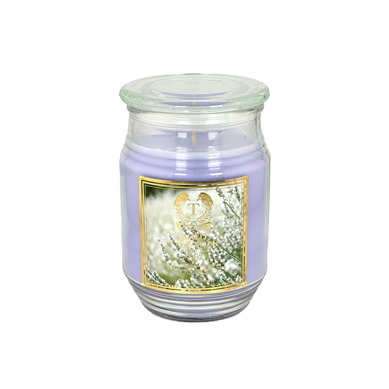 18oz Jar Scented Candle, Long Lasting Soy Wax Candle for Relaxation & Stress Relief, Aromatherapy Gift for Women, Birthday, Housewarming, Halloween, Thanksgiving, Christmas