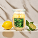 18oz Jar Scented Candle, Long Lasting Soy Wax Candle for Relaxation & Stress Relief, Aromatherapy Gift for Women, Birthday, Housewarming, Halloween, Thanksgiving, Christmas