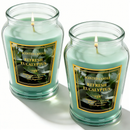 12oz Scented Candle in Glass Jar, 70+ Hours Long Lasting Burn, Eco-Friendly Candle with Eucalyptus, Mango, Apple, Vanilla Cream, Lavender Lemon & Linen Scents,Idea Gifts.