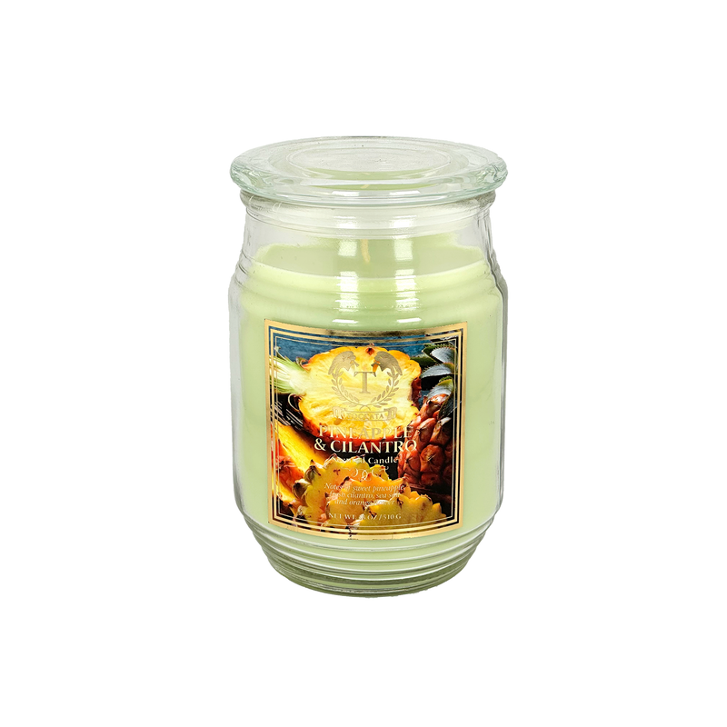 18oz Jar Scented Candle, Long Lasting Soy Wax Candle for Relaxation & Stress Relief, Aromatherapy Gift for Women, Birthday, Housewarming, Halloween, Thanksgiving, Christmas