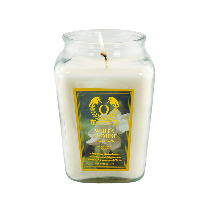 18oz Large Candle Jar Scented Candle with up to 110 Hour Burn Time, Premium Plant Wax Blend for Consistent Burn,Idea Birthdays Anniversary Gifts.