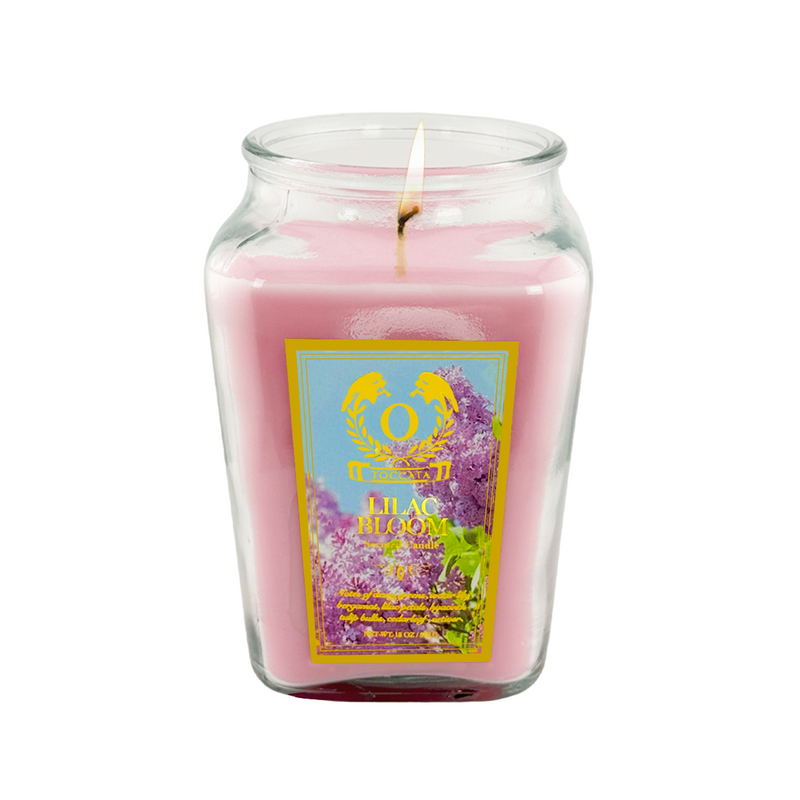 18oz Large Candle Jar Scented Candle with up to 110 Hour Burn Time, Premium Plant Wax Blend for Consistent Burn,Idea Birthdays Anniversary Gifts.