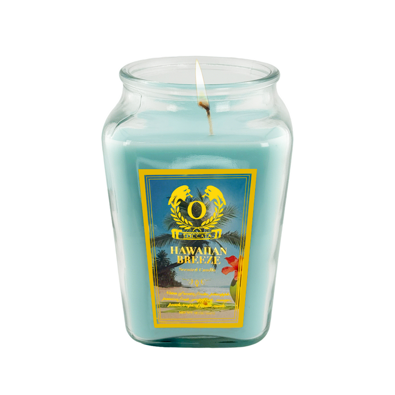 18oz Large Candle Jar Scented Candle with up to 110 Hour Burn Time, Premium Plant Wax Blend for Consistent Burn,Idea Birthdays Anniversary Gifts.