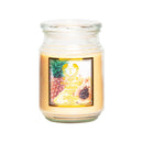 1pc/8pcs Scented Candles 18oz In 8 Scents: Tropical Essence,SPA Waters,Apple, Peony, Pineapple Papaya, Lavender, Vanilla Bean, Fresh Linen, Bath Candle, Yoga Candle - Ideal Holiday Gift for Women,Best gift for Mother's Day, Graduation, Easter