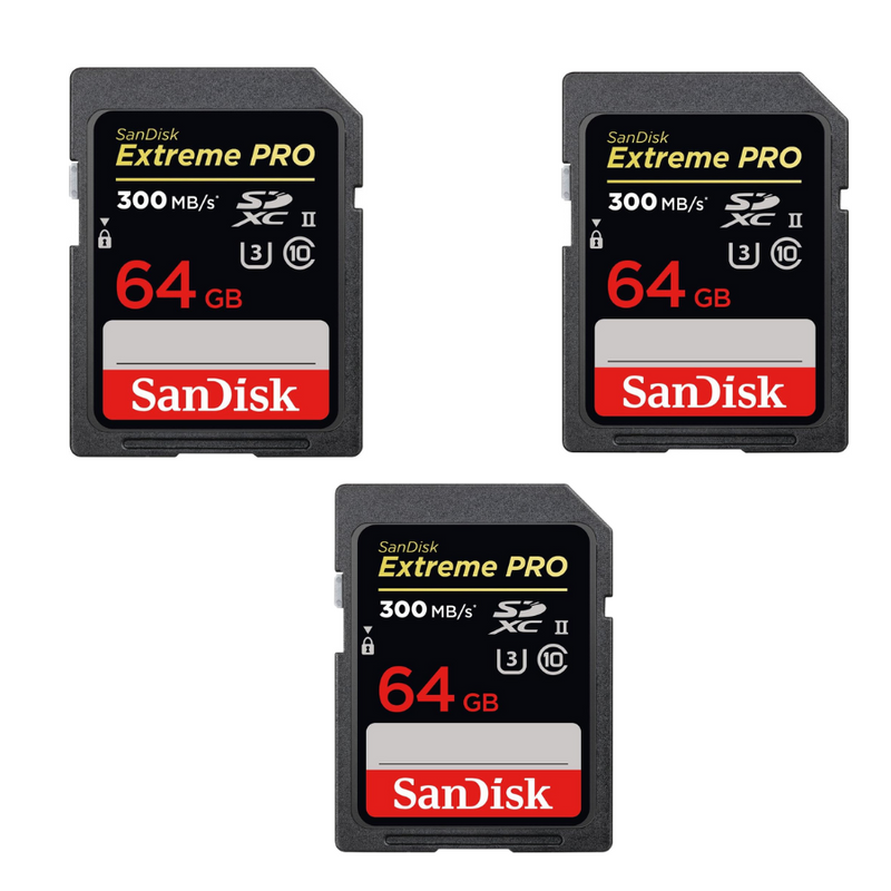 SanDisk Ultra 64 GB SDXC Class 6 Flash Memory Card 30MB/s