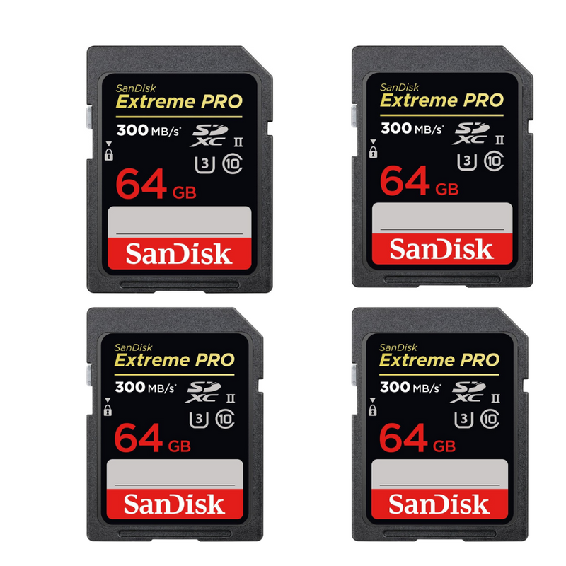 SanDisk Ultra 64 GB SDXC Class 6 Flash Memory Card 30MB/s