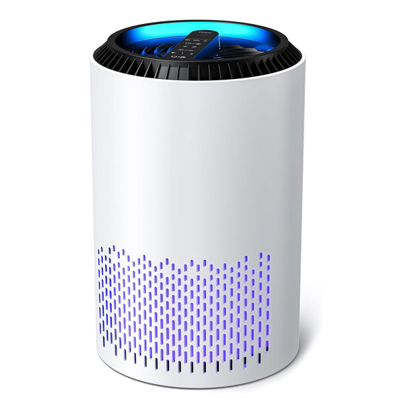 Air Purifier for Home with Dual Channel 360° Air Intake - Removes Smoke, Pollen, Dander, Hair, Odors