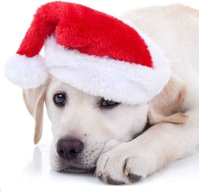 5pcs Pet Hat for Small Pets/Puppy/Cat,Apple Panda Christmas Hat, Costume Hat for Halloween Party Photo Props Supplies,Idea Gifts