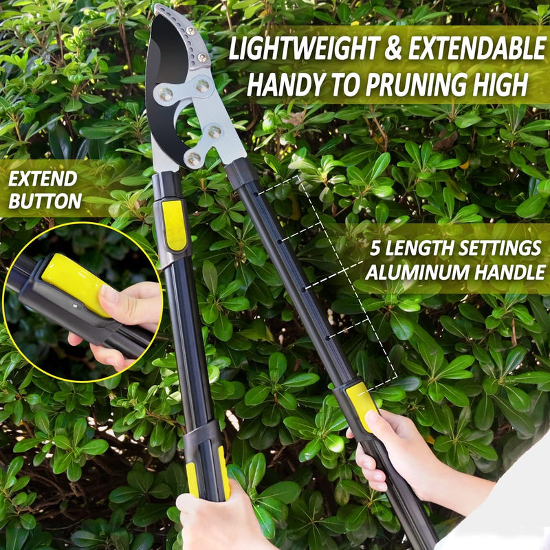 Extendable Anvil Loppers Shears, Tree Loppers Heavy Duty Branch Cutter