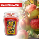 18oz Large Candle Jar Scented Candle with up to 110 Hour Burn Time, Premium Plant Wax Blend for Consistent Burn,Idea Birthdays Anniversary Gifts.