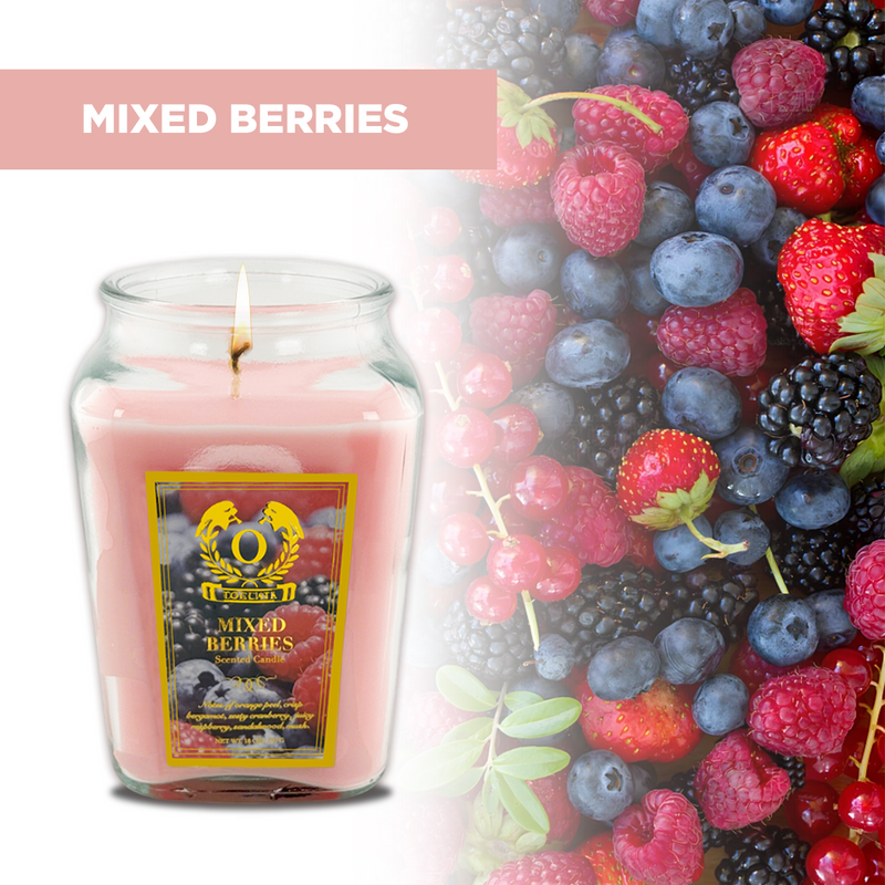 18oz Large Candle Jar Scented Candle with up to 110 Hour Burn Time, Premium Plant Wax Blend for Consistent Burn,Idea Birthdays Anniversary Gifts.