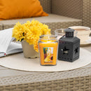 18oz Festive Christmas Candle - 6 Unique Scents for Romantic Ambiance - No Electricity or Battery Needed, Perfect for Holiday Decor, Mother's Gift Idea