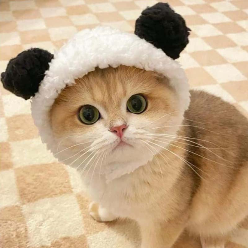 5pcs Pet Hat for Small Pets/Puppy/Cat,Apple Panda Christmas Hat, Costume Hat for Halloween Party Photo Props Supplies,Idea Gifts