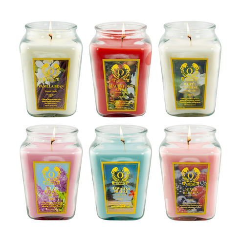 18oz Large Candle Jar Scented Candle with up to 110 Hour Burn Time, Premium Plant Wax Blend for Consistent Burn,Idea Birthdays Anniversary Gifts.