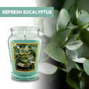 12oz Scented Candle in Glass Jar, 70+ Hours Long Lasting Burn, Eco-Friendly Candle with Eucalyptus, Mango, Apple, Vanilla Cream, Lavender Lemon & Linen Scents,Idea Gifts.